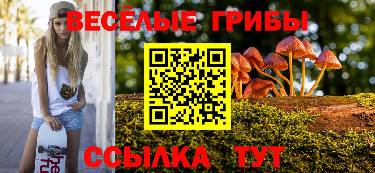 Галлюциногенные грибы GOLDEN TEACHER  Вход с VPN  Касимов  Галлюциногенные грибы ЛСД 